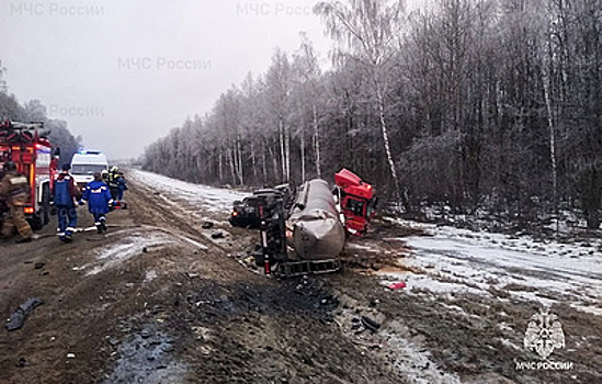 В Тульской области возбудили дело после ДТП, в котором погибли девять человек