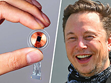 Компания Маска подорожала в 2,5 раза после разрешения на вживление чипов в мозг человека