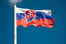 Экс-министр обороны Словакии Надь обвинил Россию в попытке сфальсифицировать выборы