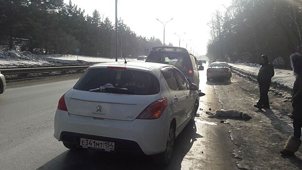 На Бердском шоссе насмерть сбили собаку в ошейнике