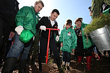В рамках акции «Лес Победы» в Подмосковье посадили 1,3 миллиона деревьев