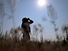 Росгвардейцы сбили летящие со скоростью 120 км/ч дроны ВСУ