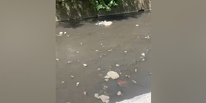 Сочинская прокуратура проверяет информацию о загрязнении реки Восточный Дагомыс сточными водами