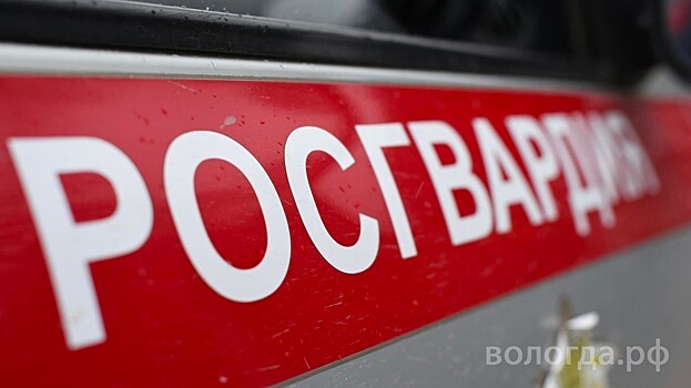 Офицер Росгвардии на «Радио Москвы» рассказал, как защитить имущество в период новогодних праздников