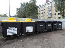 Систему раздельного сбора мусора внедрят в Мордовии