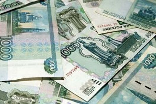 Ставропольский бизнесмен задолжал налоговой 5 млн рублей