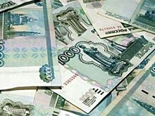 Ставропольский бизнесмен задолжал налоговой 5 млн рублей