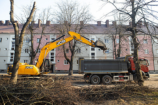 Полный апгрейд: как меняется улица Павлика Морозова