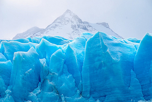 Огромный ледник может привести к гибели пингвинов в Южной Атлантике