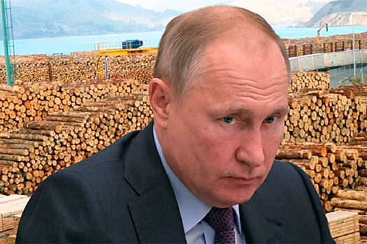 Путин пообещал поставить строгий заслон разворовыванию российских лесных богатств, но с 1 января 2022 года