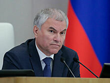 Володин: Нарушений на выборах в России стало намного меньше