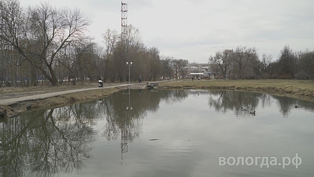 Специалисты взяли пробы воды из пруда в Ковыринском парке в Вологде