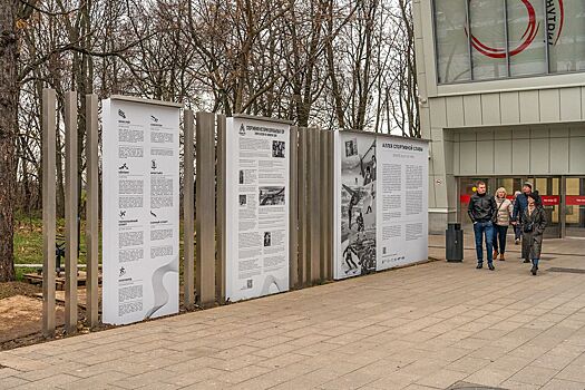 Новые арт-объекты появились на Аллее Спортивной Славы звезд зимних Олимпийских игр