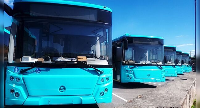 На автобусные маршруты Петербурга выезжает новый транспорт