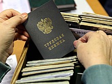Электронные трудовые книжки появятся в России не ранее 2019 года