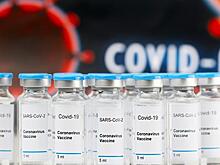 Бельгийские медики требуют прекратить пропаганду Covid-пандемии