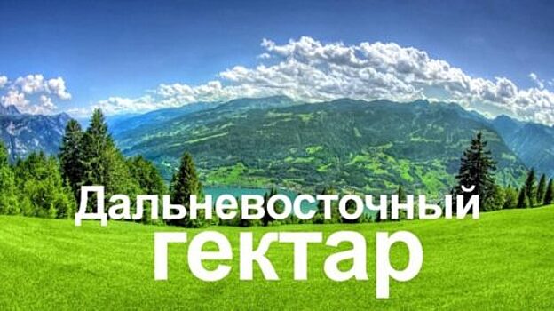 В программе "Дальневосточный гектар" участвуют 3,5 тыс. жителей столичного региона