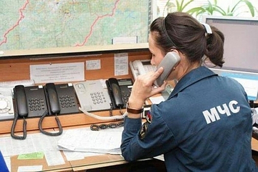 В МЧС опровергли информацию о проблемах при тушении пожара в Москве