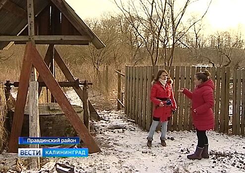 «Как можно пить навоз?!»: жители посёлка под Правдинском жалуются на зловонный запах куриного помёта