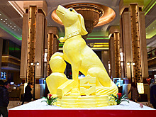 Гороскоп-2018: Эта рыжая Собака подложит России большую свинью