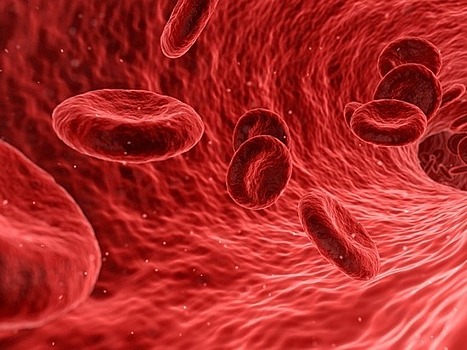 Придуман способ менять группу крови