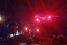 В ДТП с микроавтобусом под Тулой погибли девять человек