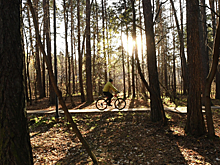 Бочкарев: всесезонный сад появится на северо-востоке столицы