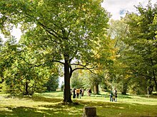 В Мособлдуме рассказали о программе формирования городской среды на 2022 год