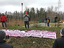 «Это полнейший беспредел»: жители Академического снова вышли на митинг против вырубки березовой рощи