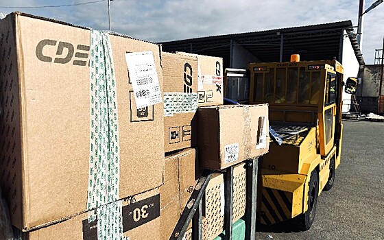 Более 6300 тонн груза и почты обработали в аэропорту Сочи