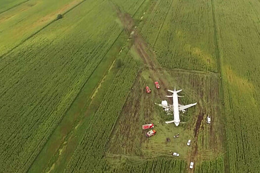 Владимир Хотиненко заявил, что подвиг летчиков, посадивших A321, достоин фильма