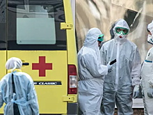 Еще 217 пациентов выздоровели от COVID-19 в Подмосковье