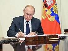 Путин назначил Романа Курынина замглавы МЧС