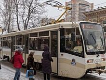 Назначен новый гендиректор «Ростовской транспортной компании»