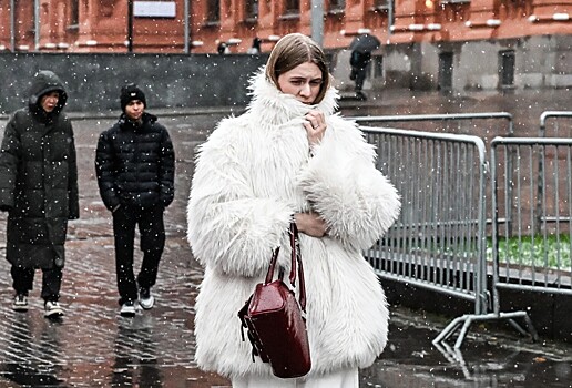 Москвичей предупредили о «происках» зимы на будущей неделе