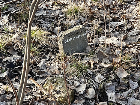 Нижегородский священник объяснил, почему нельзя поминать домашних животных