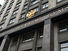 В России могут разрешить тратить материнский капитал на покупку автомобиля