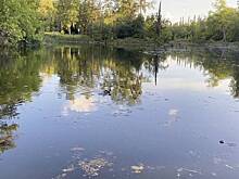 В России захотели достать из пруда огромный памятник Сталину