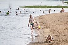Популярный пляж Новосибирска закроют на два года
