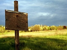 В Ленобласти многодетные семьи получат от государства сертификат на покупку земли