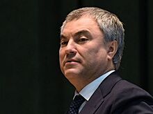 Жизнь Ковалева была посвящена защите интересов России, заявил Володин