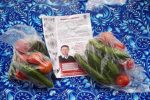 Дешевенький пиар - В Чувашии возможные кандидаты в депутаты дарят старикам чужие продукты, рекламируя самих себя