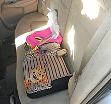 В Салехарде двухлетняя девочка выпала из авто под колеса