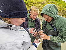 На Ямале зарплаты в научной сфере превысили средний уровень дохода