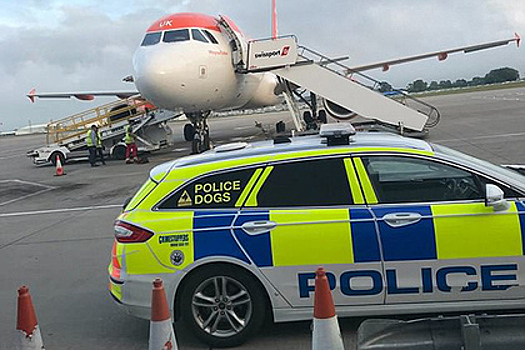 Туристы перепутали самолет с ночным клубом и сорвали рейс