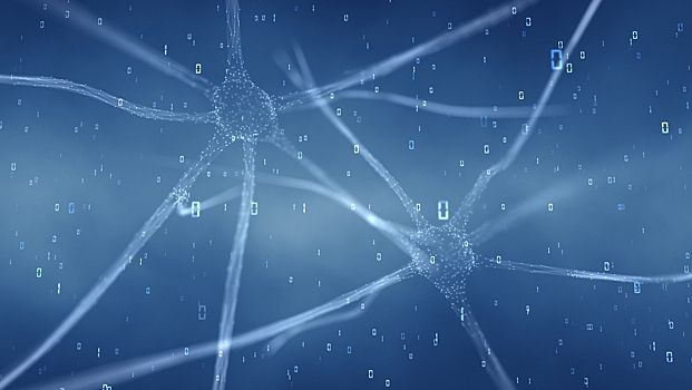 В мозге нашли нейронные «штрихкоды» для предсказания особенностей личности