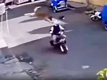 Пёс подкараулил мотоциклиста и в прыжке сбил его с байка: видео