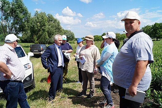 Эксперты "Россельхознадзора" примут важное решение для фермеров Молдовы