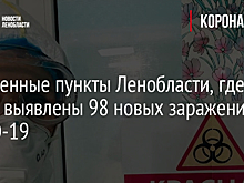 Населенные пункты Ленобласти, где 29 марта выявлены 98 новых заражения COVID-19
