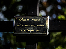 «Города не было. Все вымерли от голода». В Хвалынске обнаружено массовое захоронение